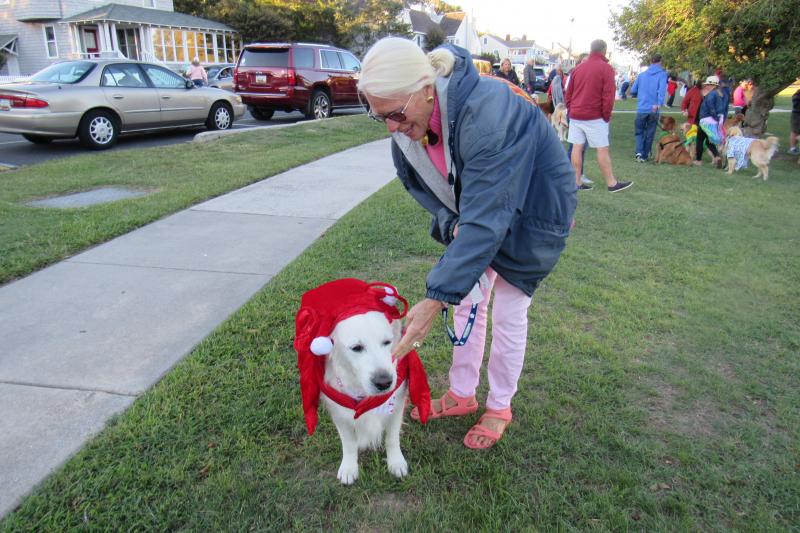 Dewey’s Golden Jubilee raises funds for popular breed Cape Gazette